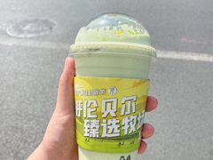 -茉酸奶(春熙路店)