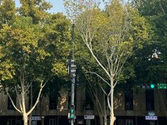 -逍遥镇刘相五胡辣汤豆沫馆(康复中街店)