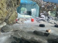 -珠海长隆海洋王国