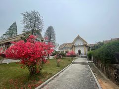 -报恩禅寺