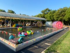 -上海海湾国家森林公园