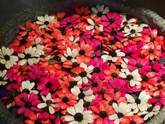 -隐厨·中国菜馆(三里屯T+MALL店)