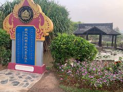 -中国科学院西双版纳热带植物园