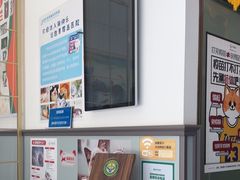 -伟伟宠物医院·瑞派猫友好医院·猫科(光谷店)