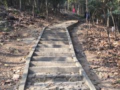 -上海佘山国家森林公园天马山园