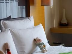 -青岛富力艾美酒店