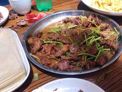 -美华大炒鸽子店