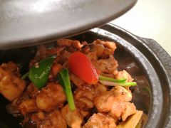 鸽子煲-大鸽饭(岗顶店)