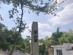 -南山植物园