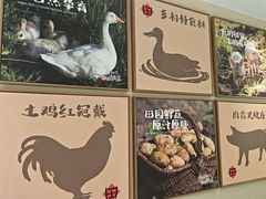 -杨厨的田园饭店(长城路店)