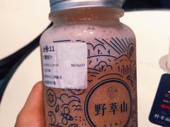 -野萃山·潮汕厚果汁(十亩地店)
