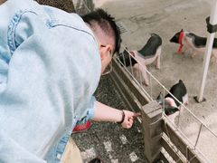 -前小桔亲子创意农场·草莓采摘·露营烧烤