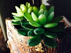 iphone_upload_pic-MI WU FACTORY米屋美食工厂餐厅(绿地店)