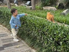 -西安汉城湖景区
