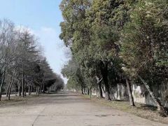 -胜华驾校·小猫学车(银都店)