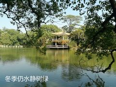-中国科学院华南植物园