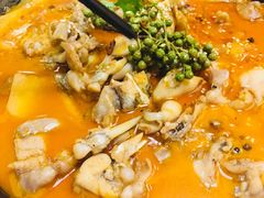 -付掌柜在成都·热炒砂锅集(金禾店)