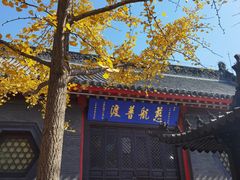 -慈恩寺