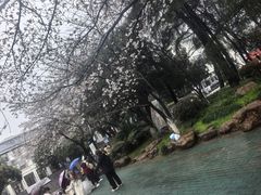 -武汉大学-樱园