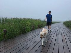 -小乡小镇·传承桐庐土菜·老板亲自烧的菜