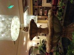 -月亮河温泉度假酒店