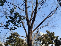 -上海大学(宝山校区)