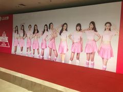 -杭州文化广播电视集团