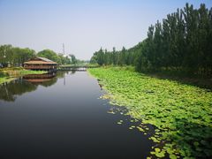 -白洋淀景区