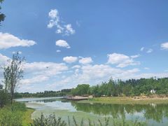 -东郊湿地公园