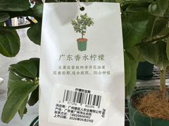 -山姆会员商店(西溪店)