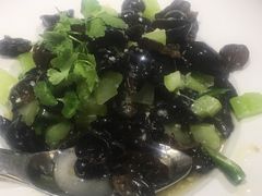 -华豫川酒家(双子塔店)