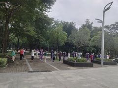 -聚龙山公园