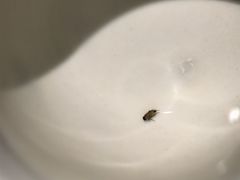 -二丁目食堂(铁西万象汇店)