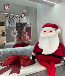 -三只熊皮肤管理中心旗舰店