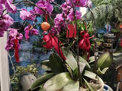 -FEI FEI FLOWER鲜花店·气球派对·宝宝宴布置(虹口德必运动Loft店)