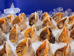 海螺-济南香格里拉·咖啡泉自助餐厅