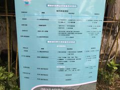 -田园东方蜜桃村的田野营地