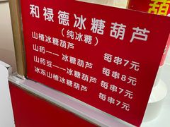 -和禄德冰糖葫芦
