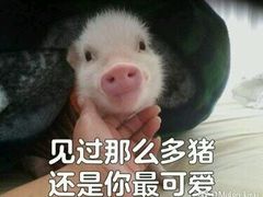 -牛煎里牛肉煎包淮南牛肉汤(广东路店)