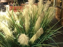 -符离集餐厅(万象城店)