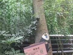 -呀路古热带植物园