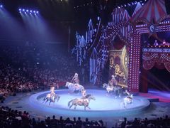 -珠海横琴长隆《卡卡虎奇遇记》