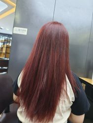 点击看大图 -藤野造型