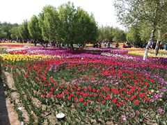 -长春公园(普阳街道)