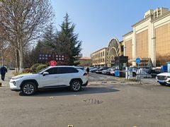 -郑庄脂渣海鲜楼(九水路店)