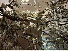 -梅花境(万科店)