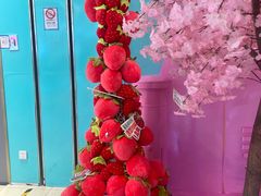 -新世界百货(顺义店)