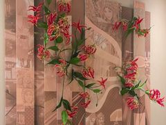 -星·South Beauty·俏江南(国贸店)