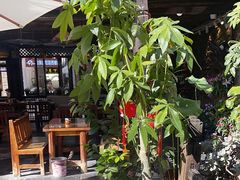 -尽善百年古院餐厅(王家老宅店)
