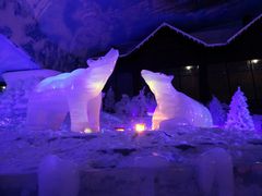 -世界之窗阿尔卑斯冰雪世界